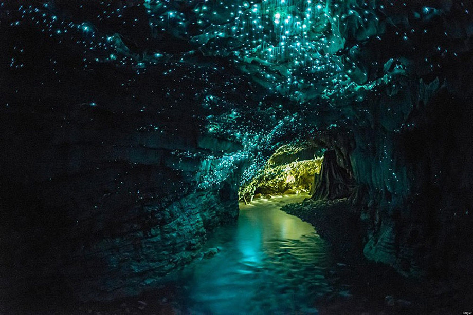 Печери Вайтомо, Нова Зеландія 