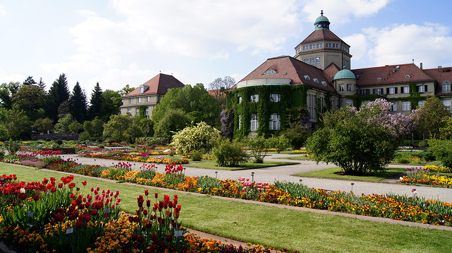 Мюнхенський ботанічний сад