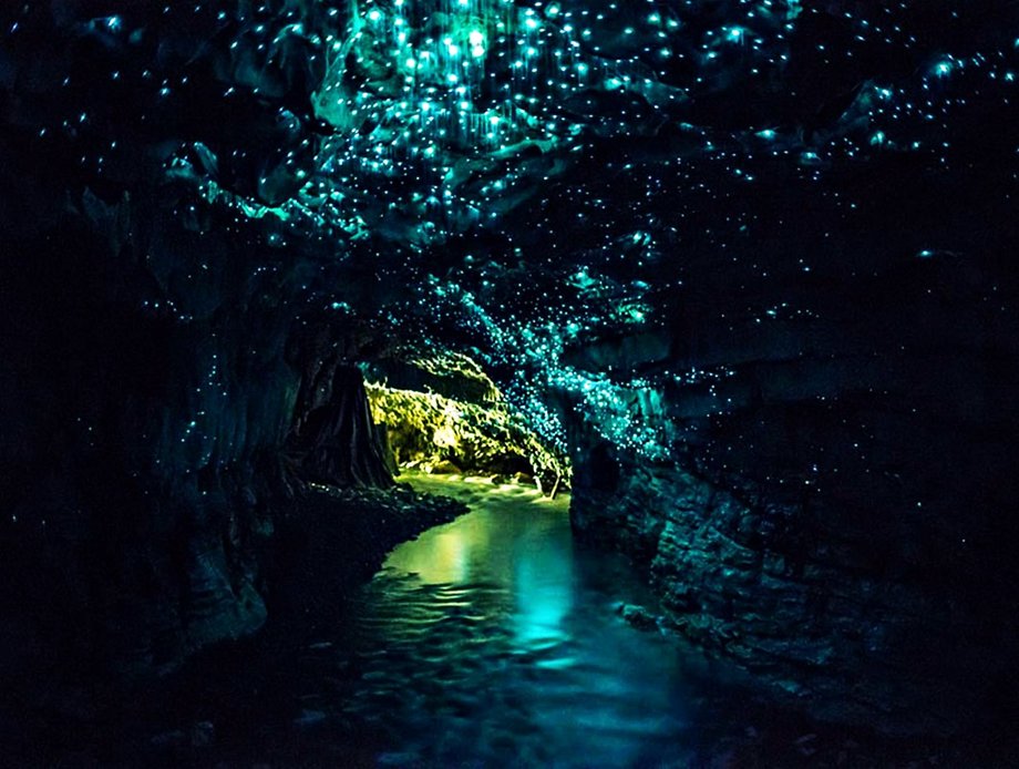 Зоряне небо під землею: печера світлячків в Новій Зеландії